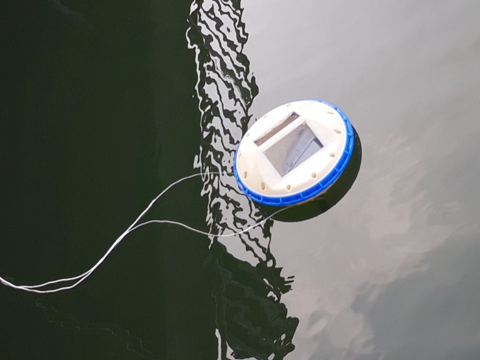 사보세 수면 테스트